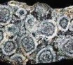 Diorite orbiculaire